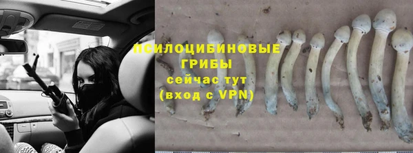 гидропоника Аркадак