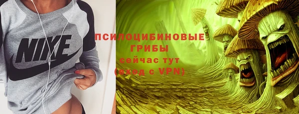 дживик Россошь