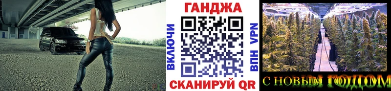 купить сайты Бородино Шишки марихуана семена